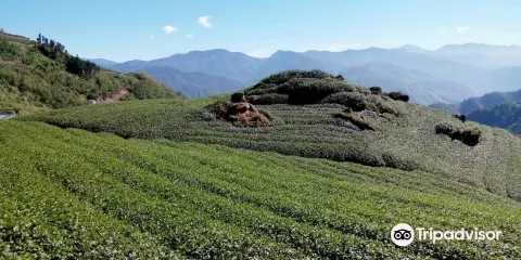 二延平步道
