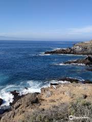 Playa de Alcala