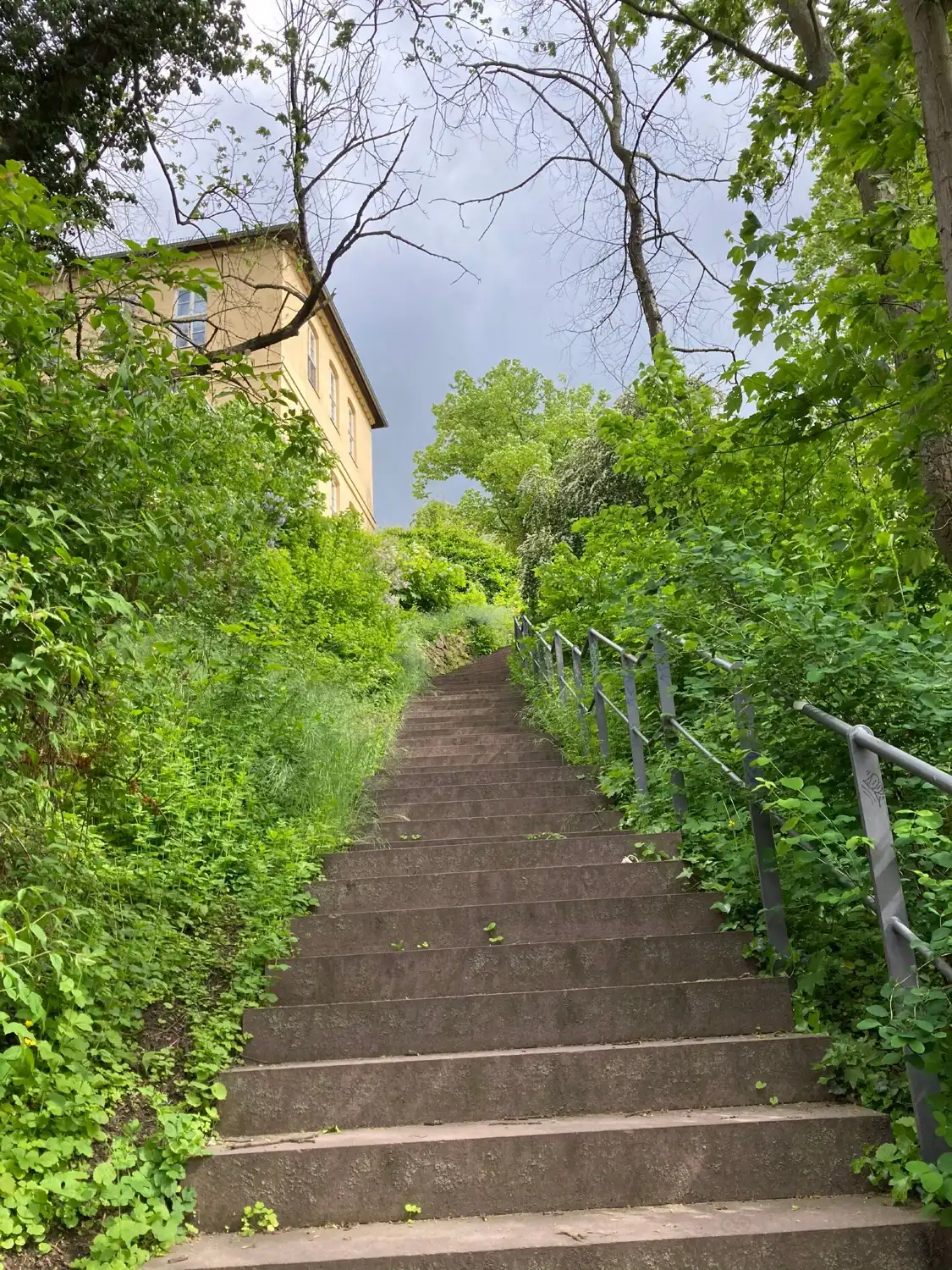 Hotels near Reichardts Garten