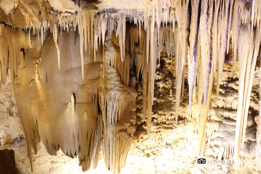 Hoshino Cave