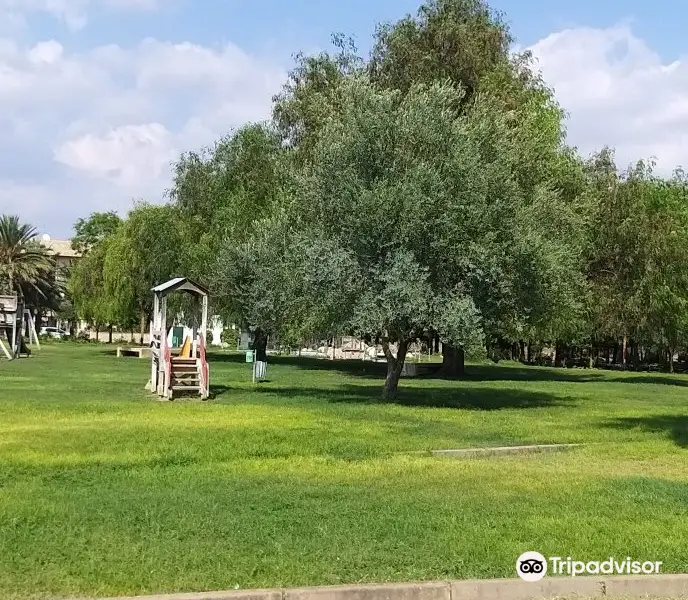 Parco Urbano Falcone - Borsellino
