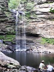 Cedar Falls Trail