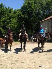 Niagara Riding Stables