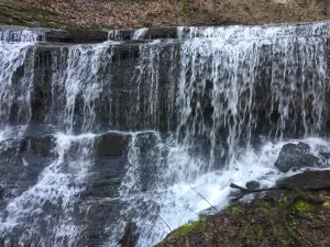 Jackson Falls