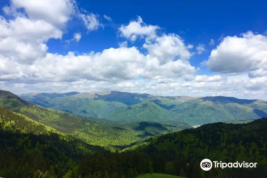 Bucegi Mountains