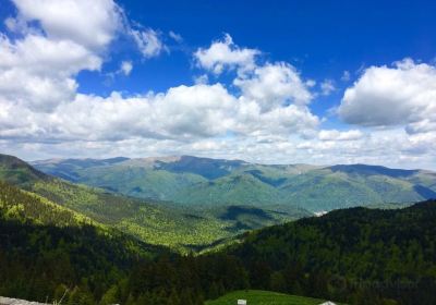 Bucegi Mountains