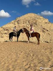 Cairo Horse Riding School