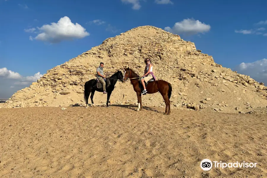 Cairo Horse Riding School