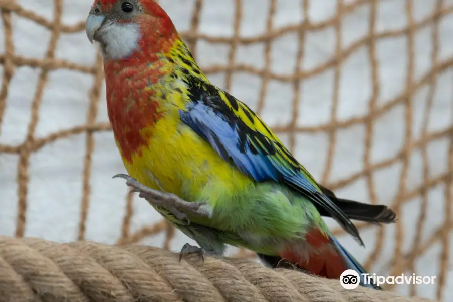 Latest travel itineraries for Butterfly House Diana Karlovy Vary in