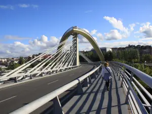 Puente del Milenio