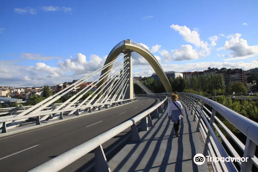 Puente del Milenio