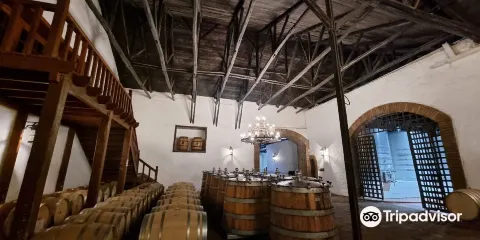 Vina Casa Silva