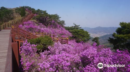 Goryeosan Mountain