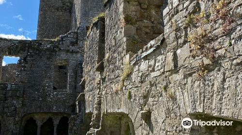 Bective Abbey