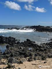 Kaiwi Shoreline Trail