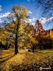 Park of Zdravilisce Lasko, Thermana Lasko