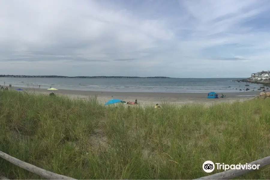 Nahant Beach