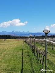 Cathedral Peak Wine Estate