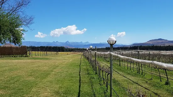 Cathedral Peak Wine Estate