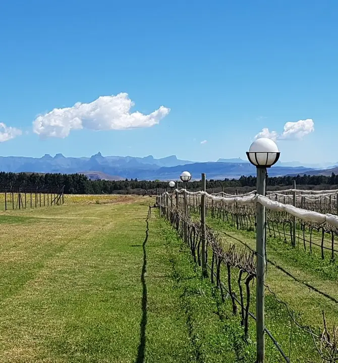 Bergville