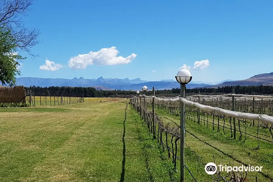 Cathedral Peak Wine Estate