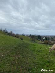 White Nancy