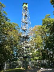 Aiton Heights Fire Tower