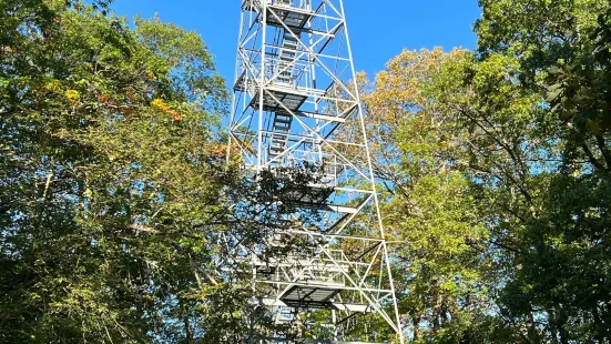 Aiton Heights Fire Tower