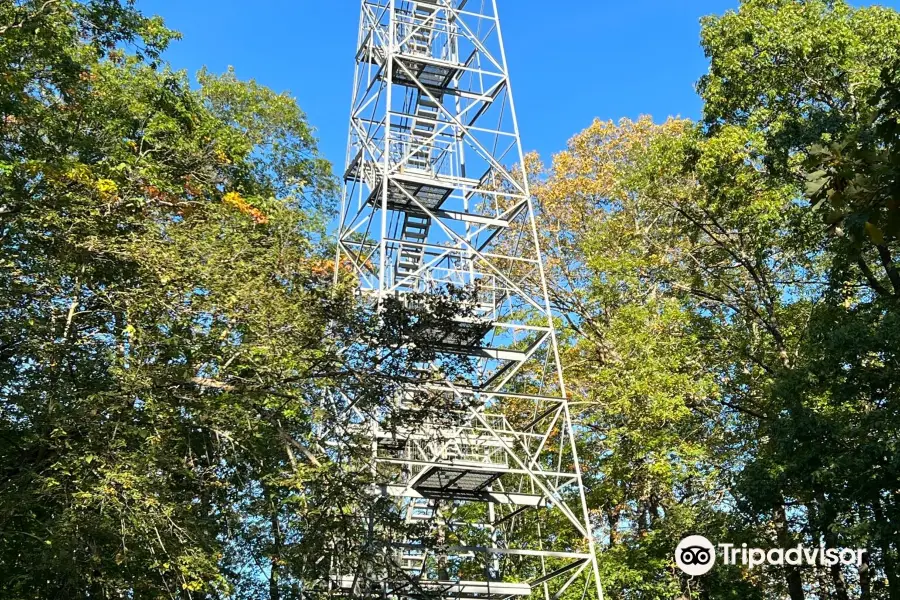 Aiton Heights Fire Tower