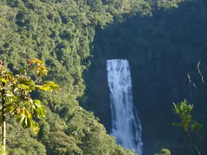 セーハ・ダ・ボカイーナ国立公園