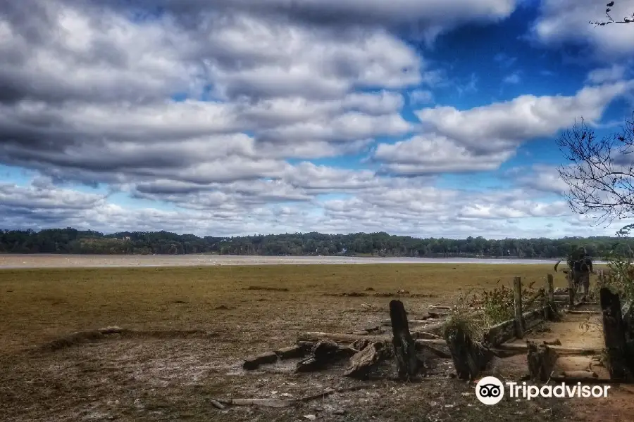 Mason Neck State Park