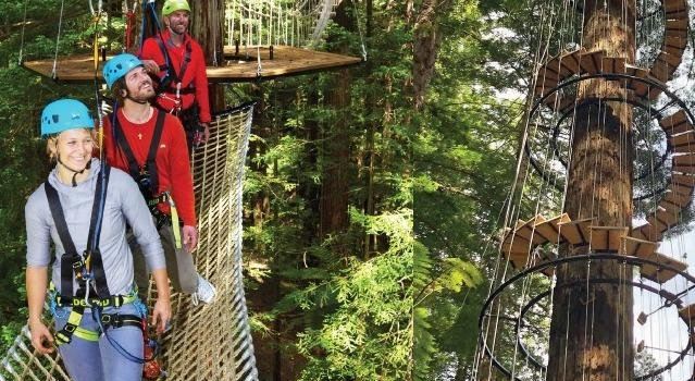 Redwoods Altitude