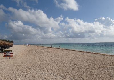 Ojo de Agua Beach