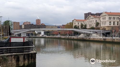 Puente  Pedro Arrupe