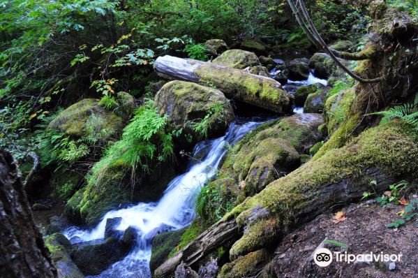 Watson Falls