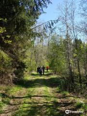 Säterdalen