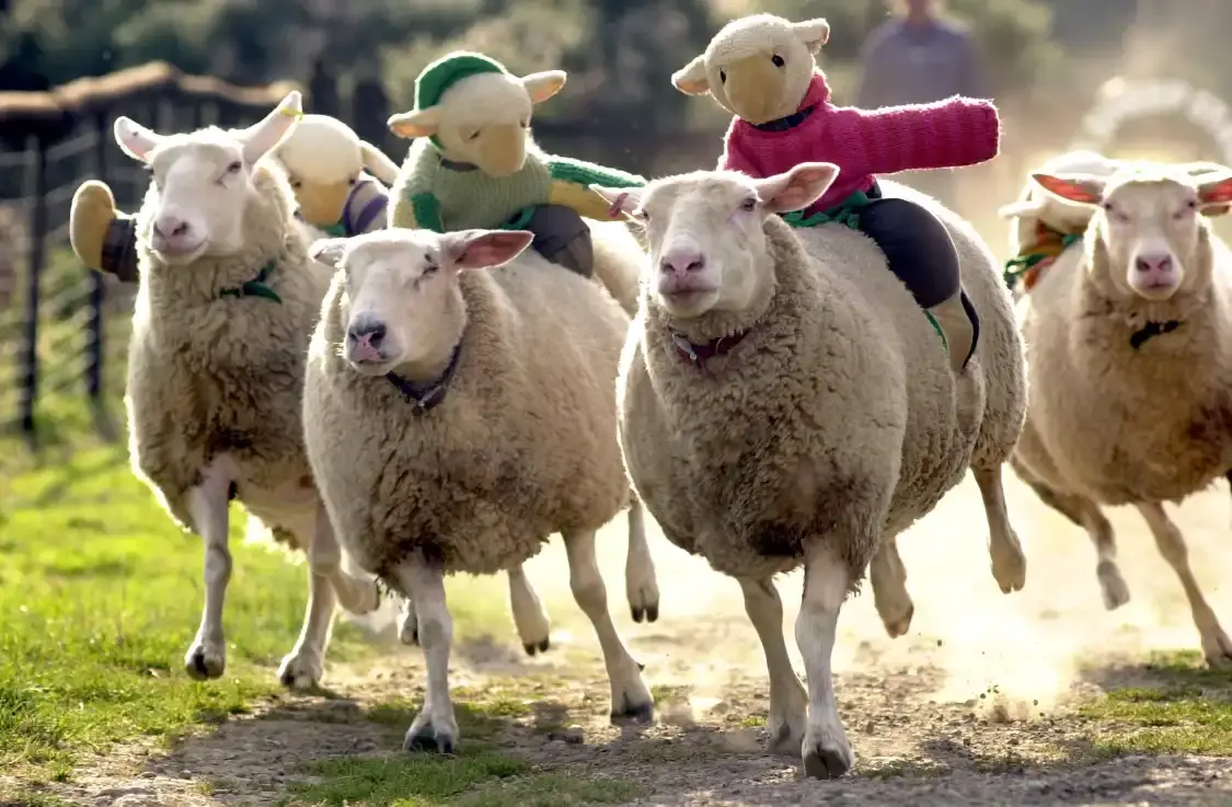 Hotels near The BIG Sheep