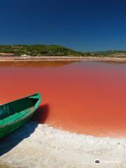 Le Salin de l'île Saint-Martin de Gruissan