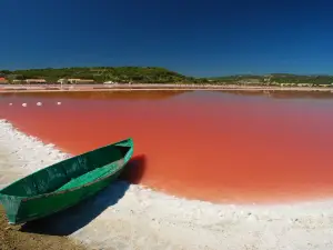 Le Salin de l'île Saint-Martin de Gruissan