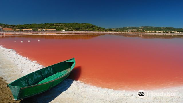 Le Salin de Gruissan