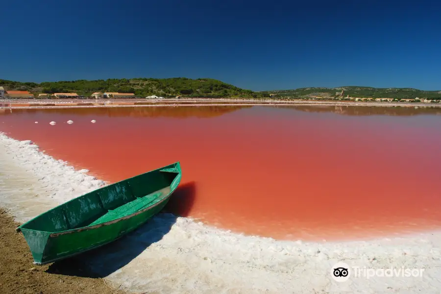 Le Salin de Gruissan