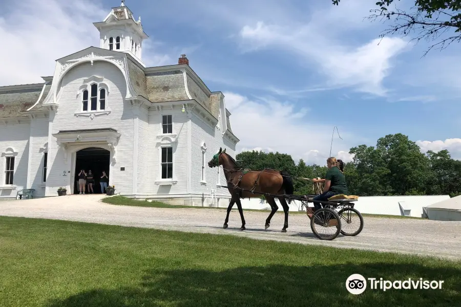 Morgan Horse Farm