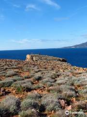 Torre di Cala Domestica