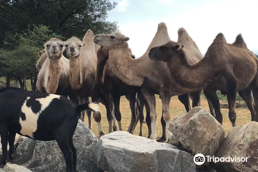 The Three Valleys Zoo