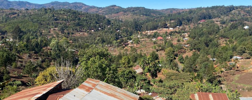 Usambara Mountains