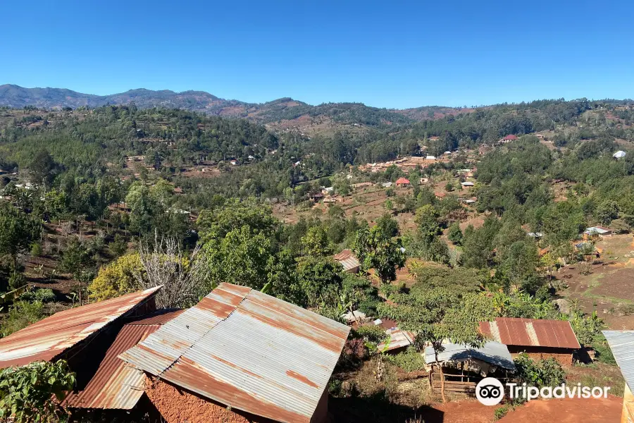 Usambara Mountains