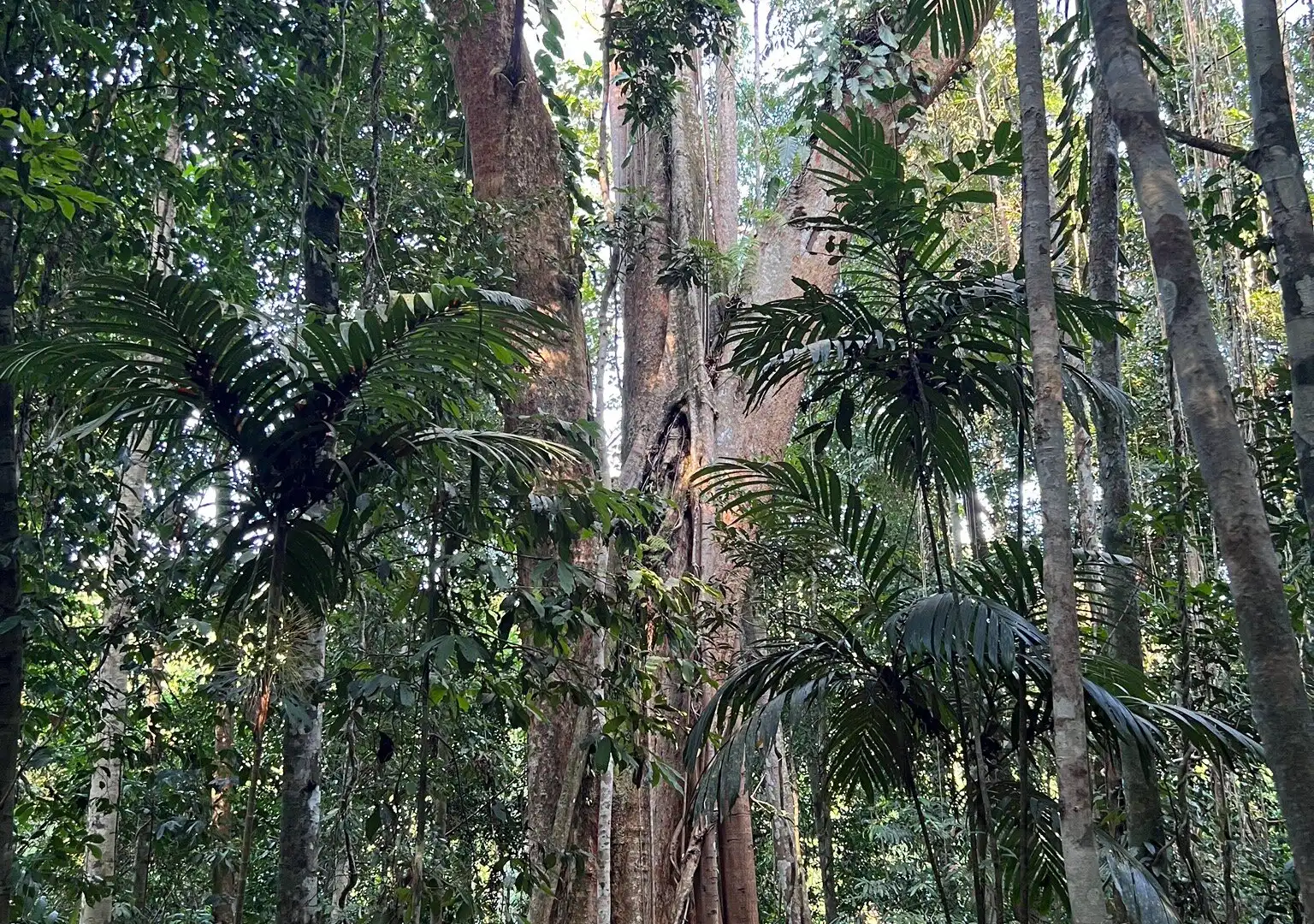 Hotels near Giant Maca Tree, Koh Kood