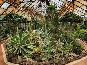 Zaporizhzhia City Children Botanical Garden