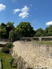 Falkenhof Schloss Rosenburg Artenschutz Forschungsstation