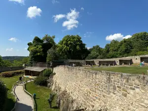 Falkenhof Schloss Rosenburg Artenschutz und Forsch
